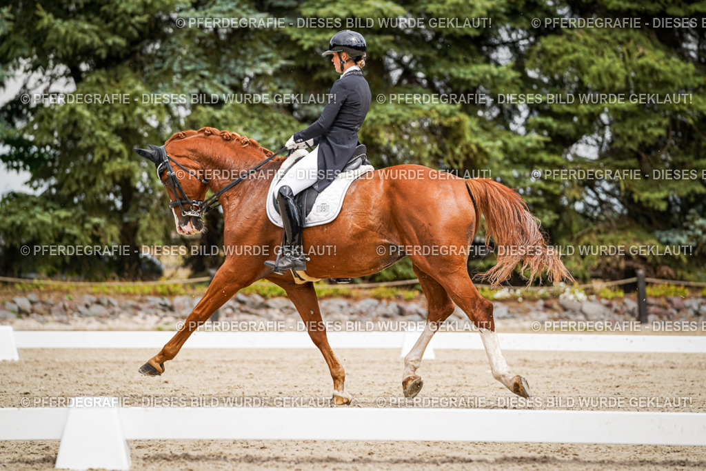 DSC05721 | Pferdegrafie