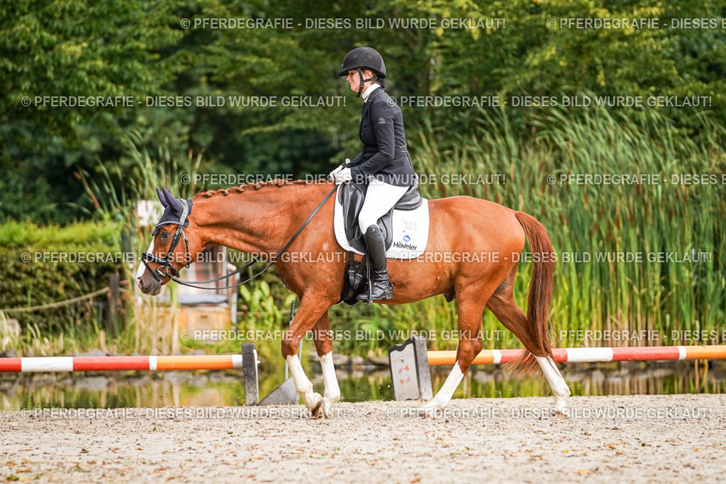 DSC01804 | Pferdegrafie