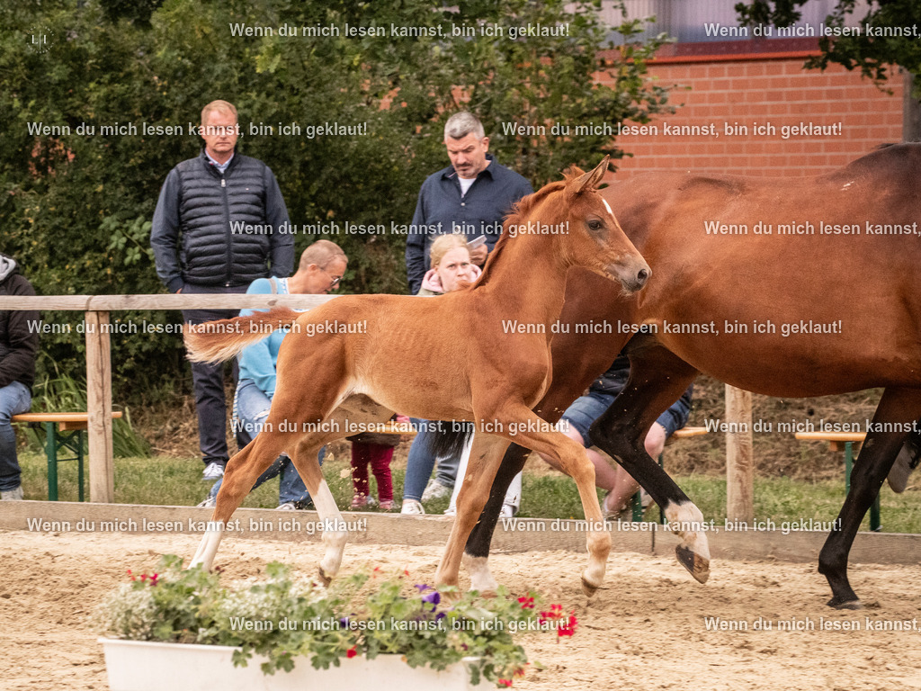 A10I5814 | photographylinaismer - Realisiert mit Pictrs.com