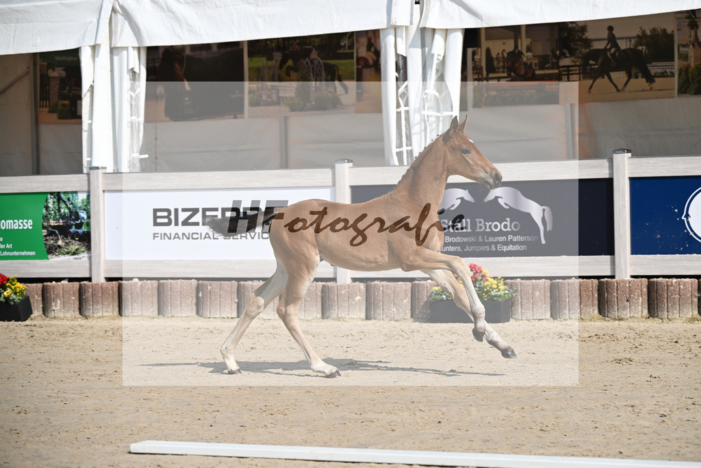 Feliciano x Danone I_SF_Huber_12250115 | hf-fotografie - Realisiert mit Pictrs.com