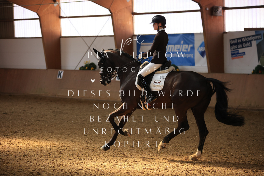 IMGT3154 | pl-fotografie