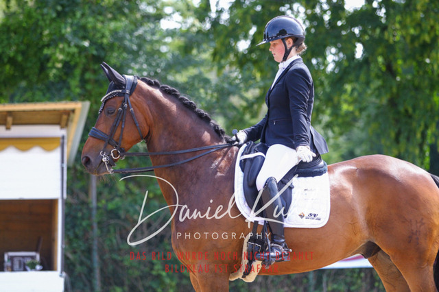 DKP40991 | Turniersportfotografie; Pferdefotografie; Dressurfotografie