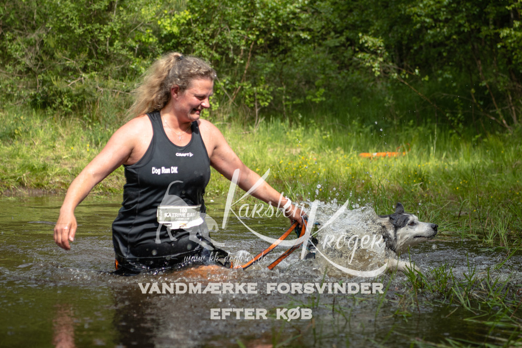 1035DKK993178 | kk-dogfotos