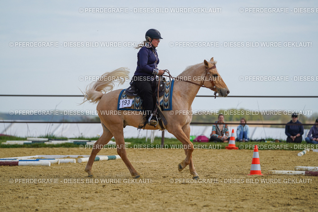 DSC05096 | Pferdegrafie