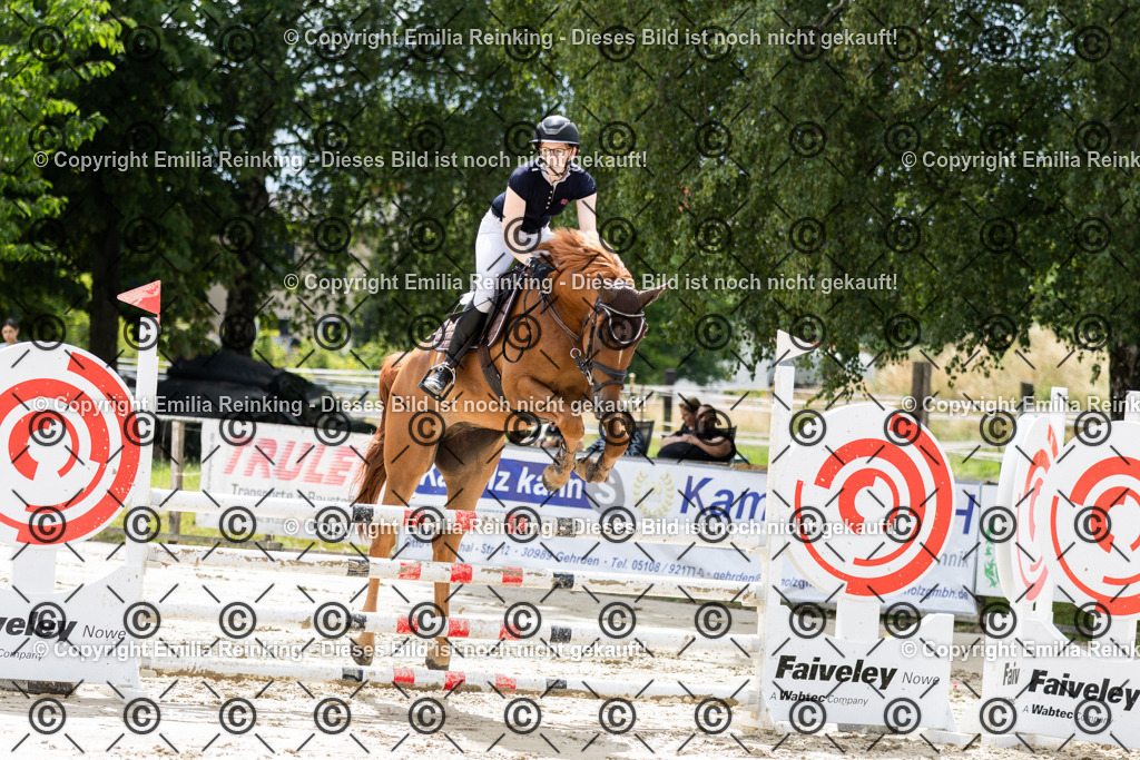 CL5A0523 | Emilia Reinking Fotografie - Realisiert mit Pictrs.com