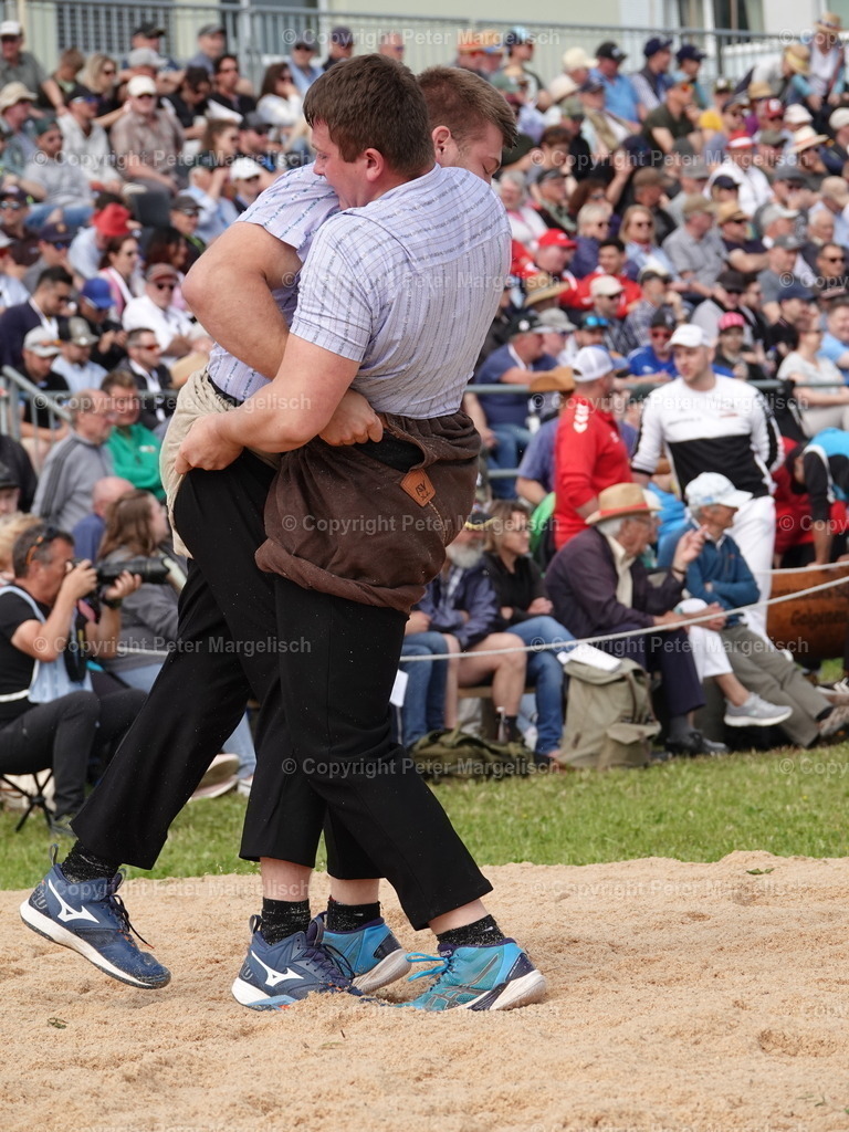 DSC06698 | Schwingen - Realisiert mit Pictrs.com