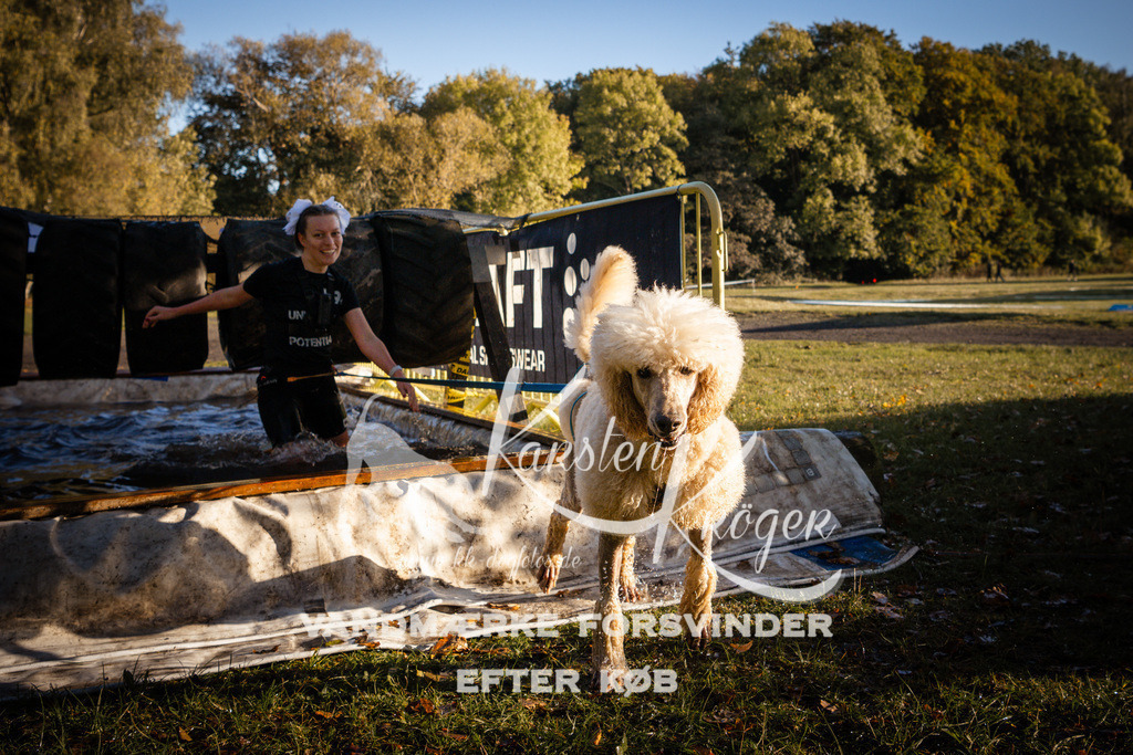 0922_ZZ90749 | kk-dogfotos