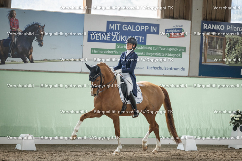 _D5A5275 | Emotionale Pferde- & People-Fotografie rund um Heidelberg, Leimen & Umgebung. Natürliche Fotos von Pferd, Mensch & Familie. Jetzt Termin sichern!