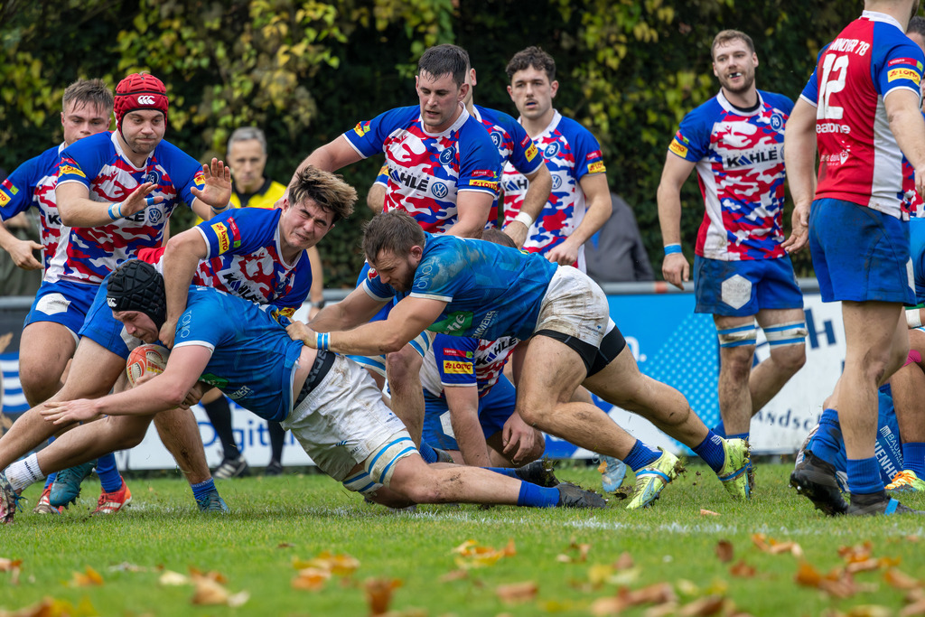 Rugby Bundesliga, Saison 2025/26, 7. Spieltag: SC Neuenheim gegen Hannover 78 | Rugby Bundesliga, Saison 2025/26, 7. Spieltag: SC Neuenheim gegen Hannover 78***Bild: Versuch für den SC Neuenheim - Realisiert mit Pictrs.com