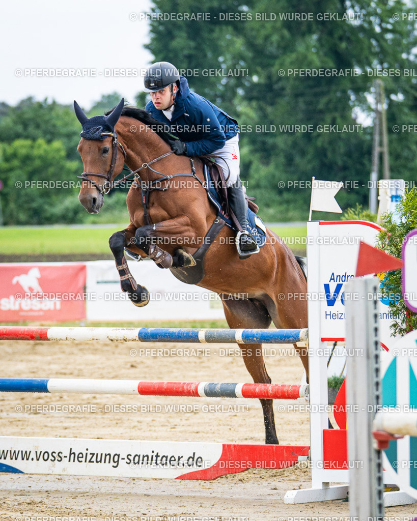 DSC04692 | Pferdegrafie