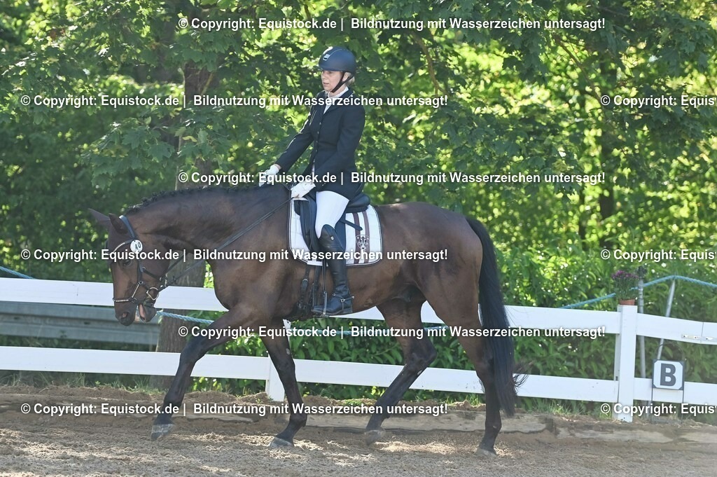 20230715_06_Dressurpferdeprfg. Kl.A_0054 | equistock