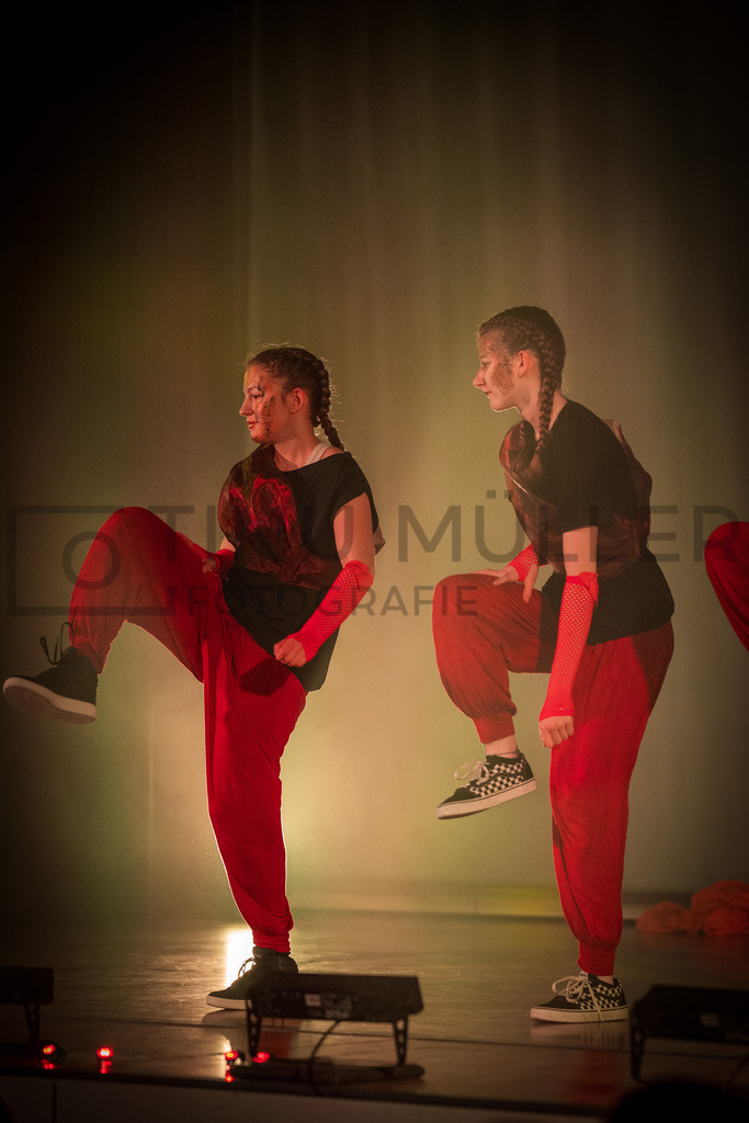 _DSC2519 | Tinu Müller Fotografie- Bildershop - Realisiert mit Pictrs.com