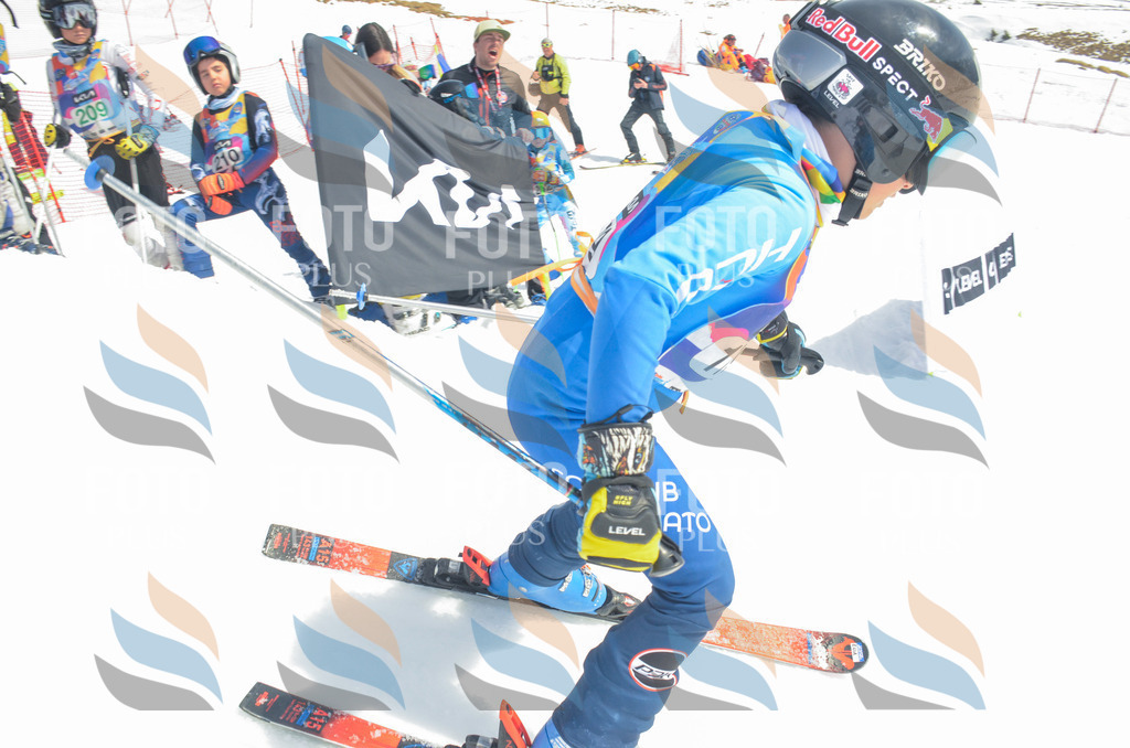 _ELE6653 | holidayphoto