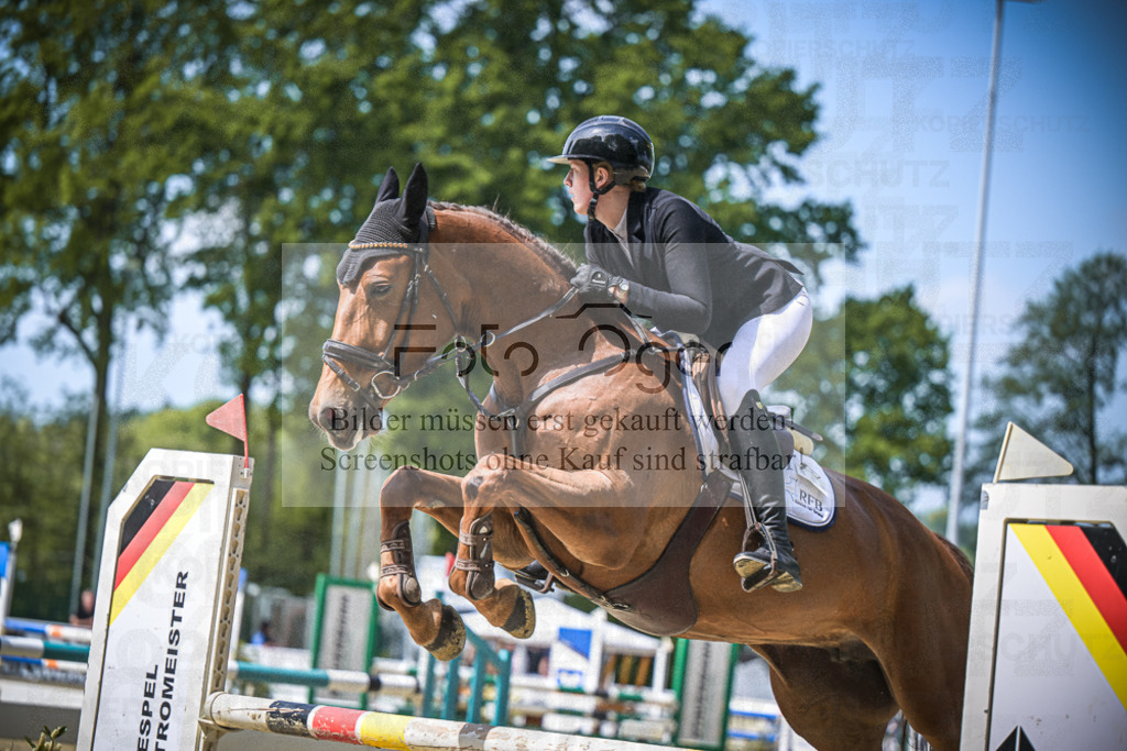 DOS_8342 | Entdecke hochwertige Reitturnierfotos von Foto Oger. Professionell, emotional und authentisch – jetzt Lieblingsmomente im Shop bestellen.Deutschlandweite Turnierfotografie. - Realisiert mit Pictrs.com