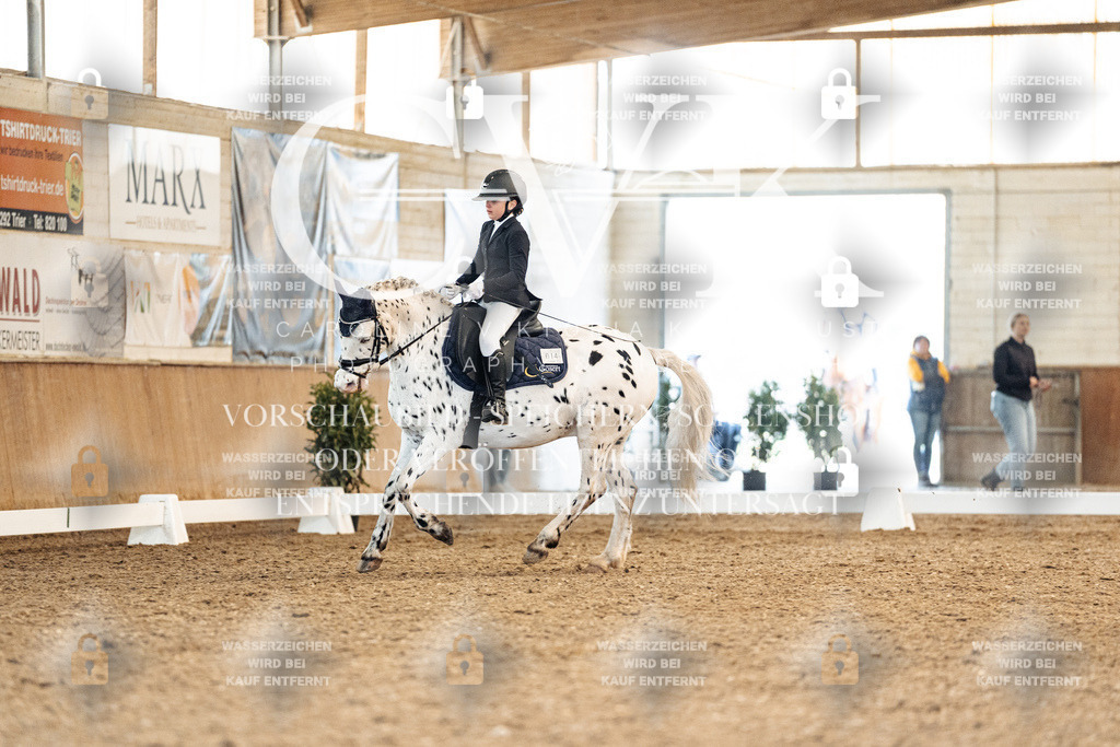 CK908933 | Turnierfotografie Pferdefotografie Trier Rheinland-Pfalz Pferdesport Reitsport Tierfotografie Sportfotografie Pferdevideo Pferdevideografie Equestrianvideography equestrianphotography  - Realisiert mit Pictrs.com