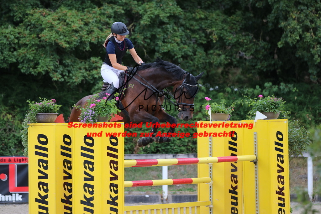 IMG_0279 | lmwpictures - Realisiert mit Pictrs.com