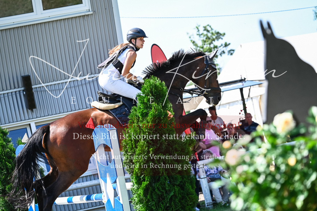 DSC_1063 | Pferde- und Turnierfotografie in Westsachsen. Pferdeportraits, Auftragszeichnungen und intuitive Kunst.