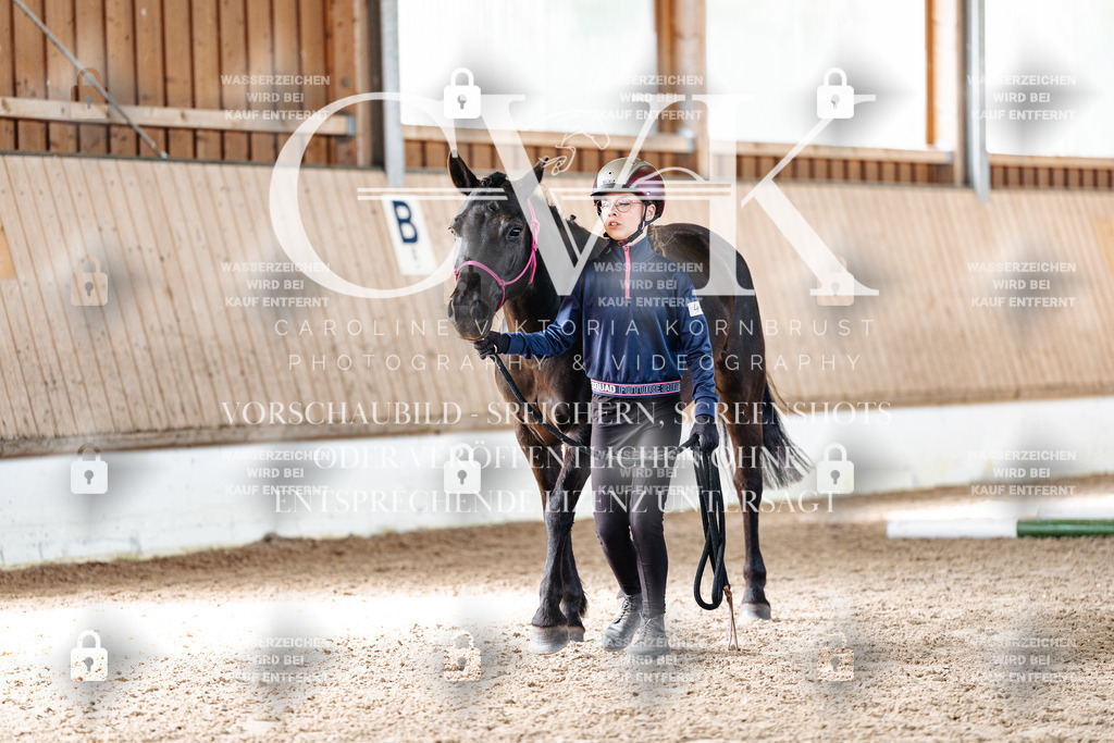 CK906012 | Turnierfotografie Pferdefotografie Trier Rheinland-Pfalz Pferdesport Reitsport Tierfotografie Sportfotografie Pferdevideo Pferdevideografie Equestrianvideography equestrianphotography  - Realisiert mit Pictrs.com
