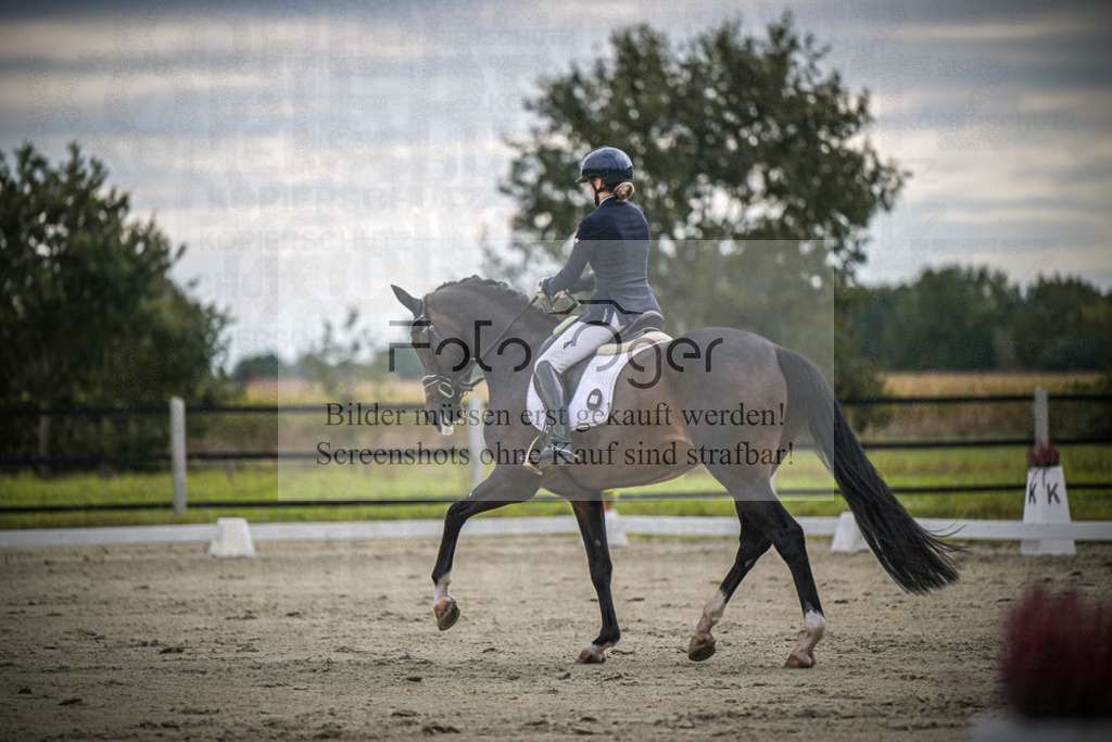 DOS_1422 | Entdecke hochwertige Reitturnierfotos von Foto Oger. Professionell, emotional und authentisch – jetzt Lieblingsmomente im Shop bestellen.Deutschlandweite Turnierfotografie. - Realisiert mit Pictrs.com