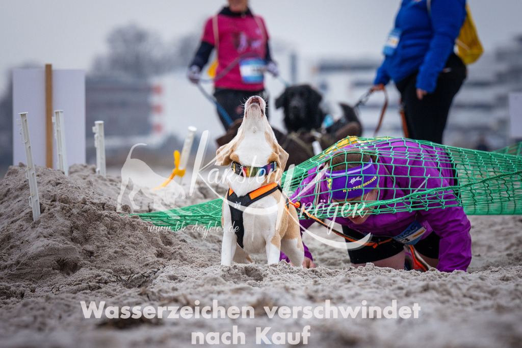 1215_ZZ93019 | kk-dogfotos