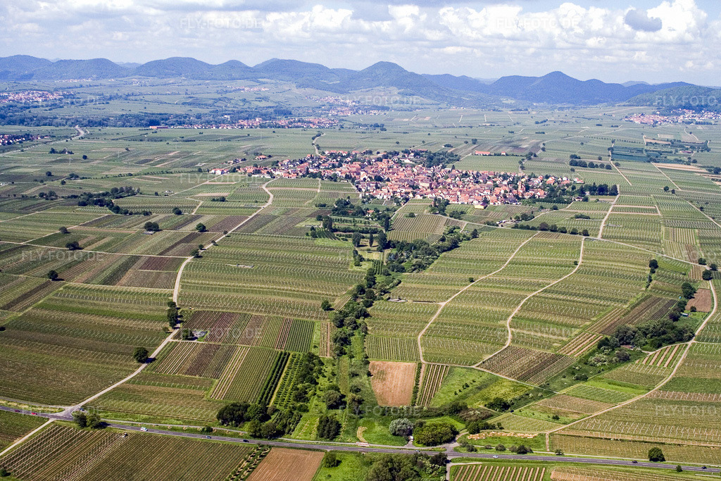 Luftbild: Weinbergs- Landschaft der Winzer- Gebiete in der Pfalz im Ortsteil Nußdorf in Landau im Bundesland Rheinland-Pfalz in Deutschland. Foto: IMG_2209.jpg vom 03.06.2006 durch Werner Riehm/FLY-FOTO.de
