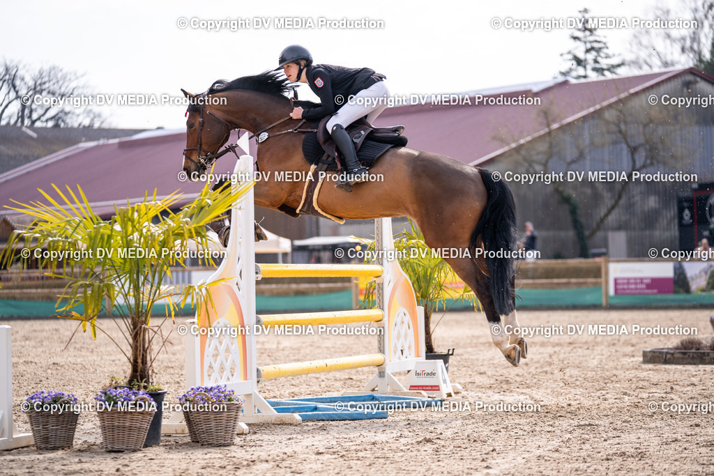 Kranichstein Tag 2-1585 | dv-media-shop - Realisiert mit Pictrs.com