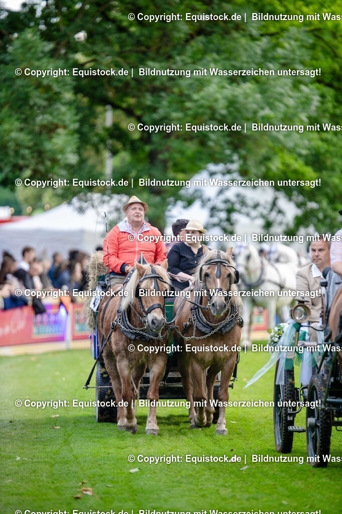 20250606_Lange-Pferdenacht_0200 | Foto: Thomas Hartig