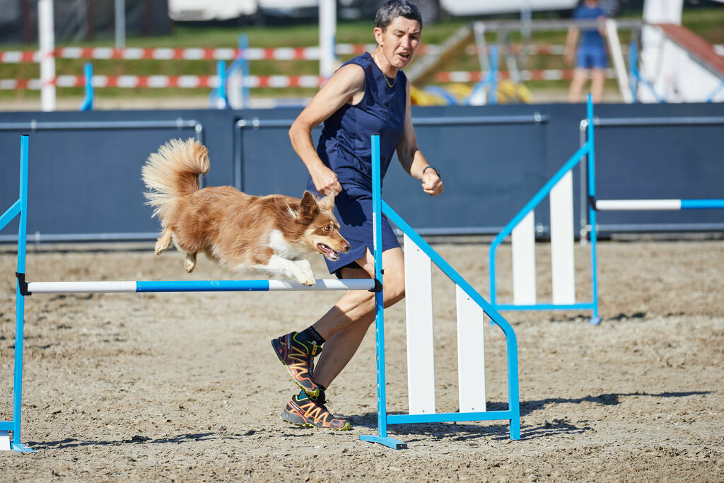 580A0171 | Peter Fridle Fotografie - Realisiert mit Pictrs.com