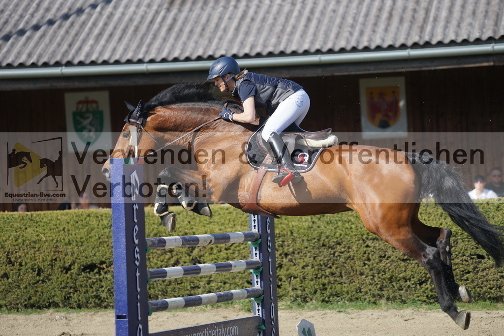 DSC03292 | equestrian-live-com