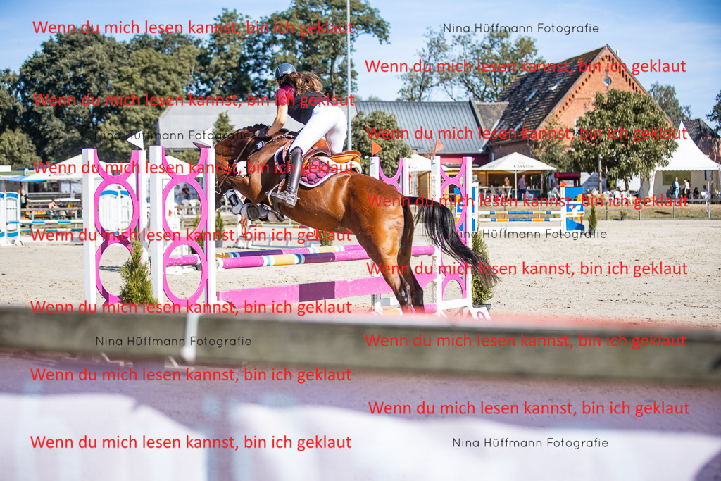 BK1A7231 | Turnierbilder Turnierfotos Nina Hüffmann Turnierfotografie Pferdefotografie Tierzeichnung Haustierzeichnung Pferdezeichnung Hundezeichnung Videograf  - Realisiert mit Pictrs.com