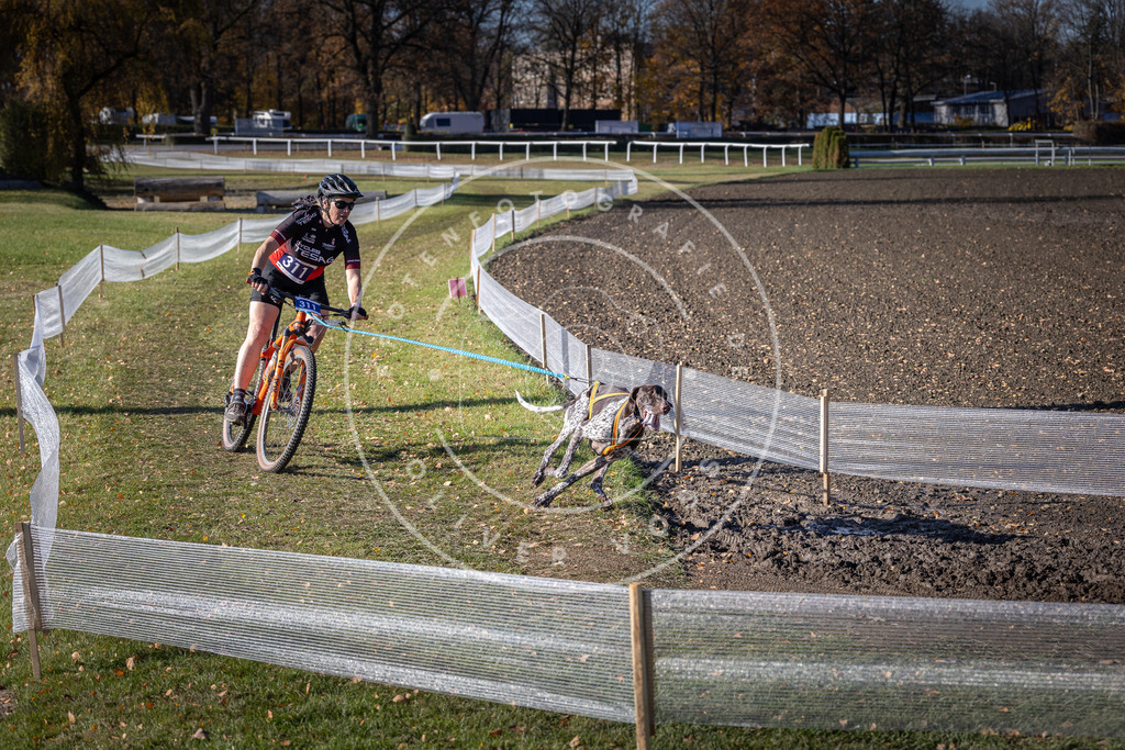 CaniXpix_DV3A6347 | Hundefotografie, Tierfotograf, Pfotenfotografie, Fotoshooting Hund, Hunde Portrait, Hundesport, Hundeportraits, Heideshooting, Hunde, Sportfotograf, Hundefotograf, Turnierhundsport, THS,  - Realisiert mit Pictrs.com