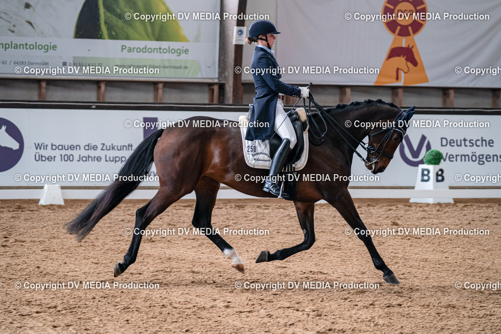 Kranichstein Tag 1-464 | dv-media-shop - Realisiert mit Pictrs.com