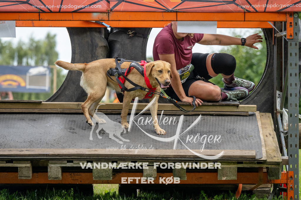 1154_ZZ93206 | kk-dogfotos