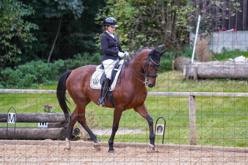 20231007-SN_00977 | Professionelle Turnier- und Reitsportfotografie - mit dem Finger am Auslöser. Pferdebilder aus dem Reitsport von den Turnierfotografen  Bayern , Pferdefotograf Bayern, Pferdeshooting Turnierbilder, Hochzeitsfotograf, Eventfotograf, Hochzeitsbilder