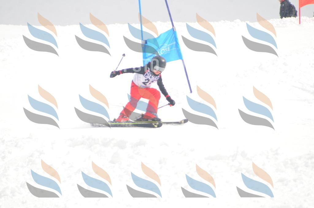 A5219 | holidayphoto