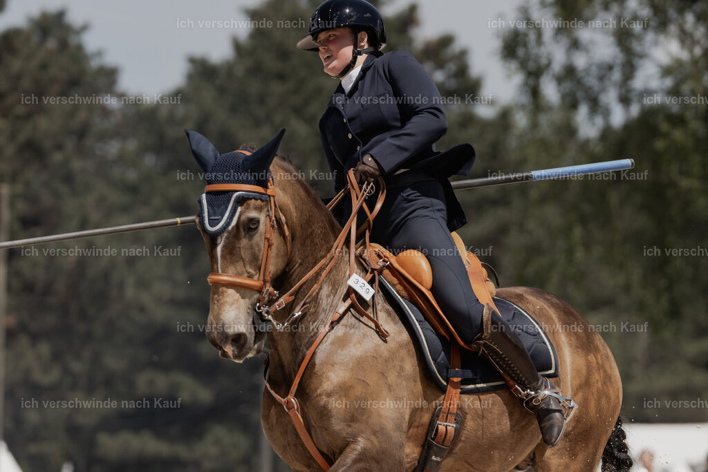 WE_SP_Stoib_329_PI2025_2016 | Pferd International München 2025