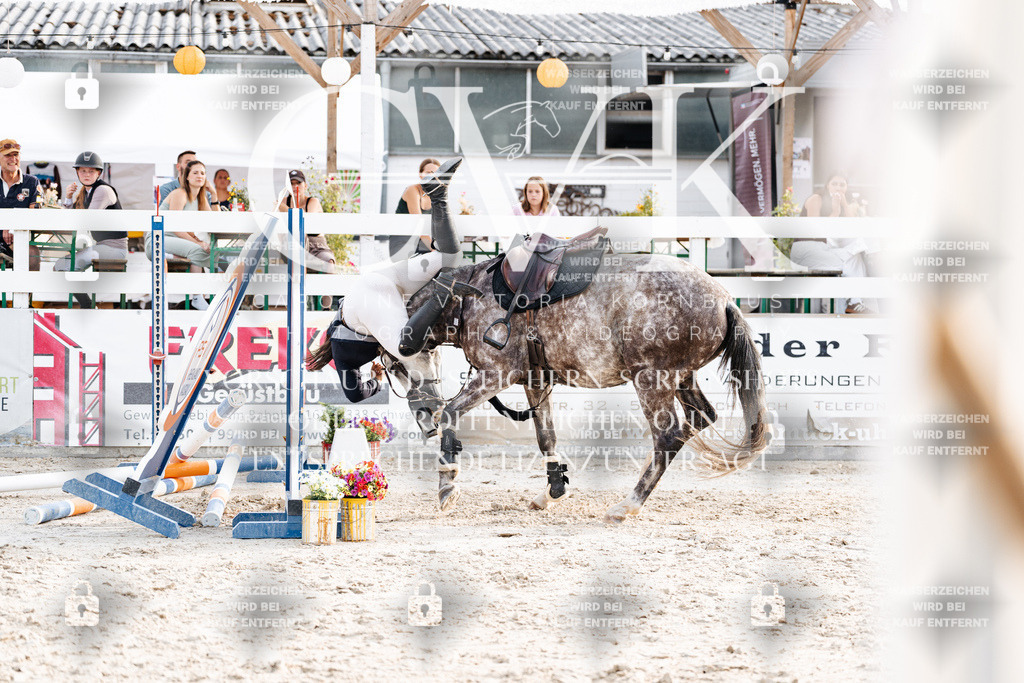 CK907047 | Turnierfotografie Pferdefotografie Trier Rheinland-Pfalz Pferdesport Reitsport Tierfotografie Sportfotografie Pferdevideo Pferdevideografie Equestrianvideography equestrianphotography  - Realisiert mit Pictrs.com