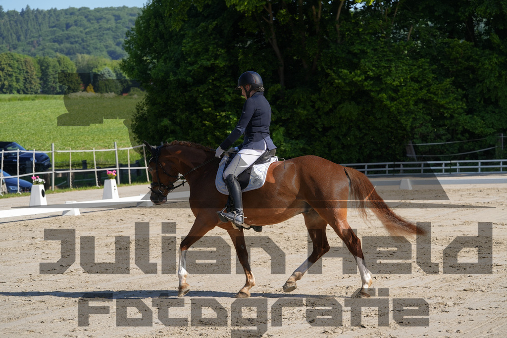 DSC02868 | Julian Held Fotografie - Realisiert mit Pictrs.com