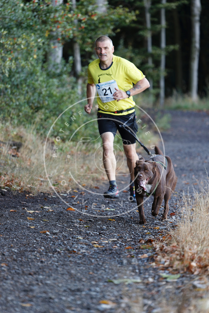 0L8A1482 | Hundefotografie, Tierfotograf, Pfotenfotografie, Fotoshooting Hund, Hunde Portrait, Hundesport, Hundeportraits, Heideshooting, Hunde, Sportfotograf, Hundefotograf, Turnierhundsport, THS,  - Realisiert mit Pictrs.com