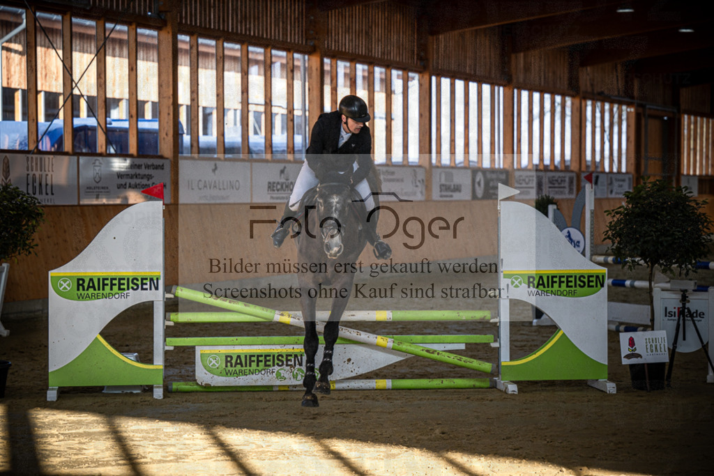 DOS_0595 | Entdecke hochwertige Reitturnierfotos von Foto Oger. Professionell, emotional und authentisch – jetzt Lieblingsmomente im Shop bestellen.Deutschlandweite Turnierfotografie. - Realisiert mit Pictrs.com