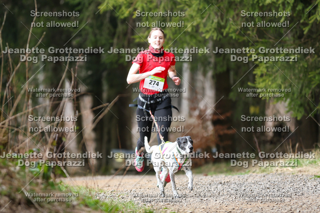 Dog Paparazzi - VCC26-401 | Dog Paparazzi Jeanette Grottendiek Fotografie & Videografie - Realisiert mit Pictrs.com