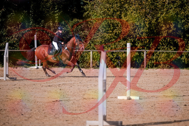 2026_10_03_Siefer-Hof_154710_Z81_66540720 | Professionelle Reitsport-, Turnier- und Eventfotografie von Robert Broda. Galerien mit ausgewählten und bearbeiteten Bildern direkt online ansehen und bestellen.