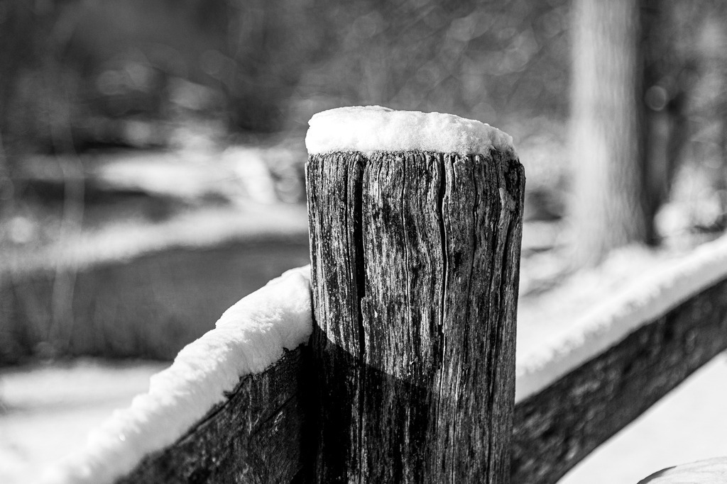 _ 3382_WINTER26_8284 | WInteraufnahmen Loosdorf 2026