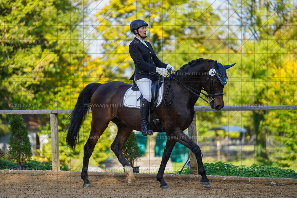 20221007-FAH00154 | Diessen am Ammersee, 2022, Dressur- und Springturnier, Reitsportbilder, Turnierfotografen Bayern, Pferdefotografen, Fotoagentur Herrmann, Turnierbilder