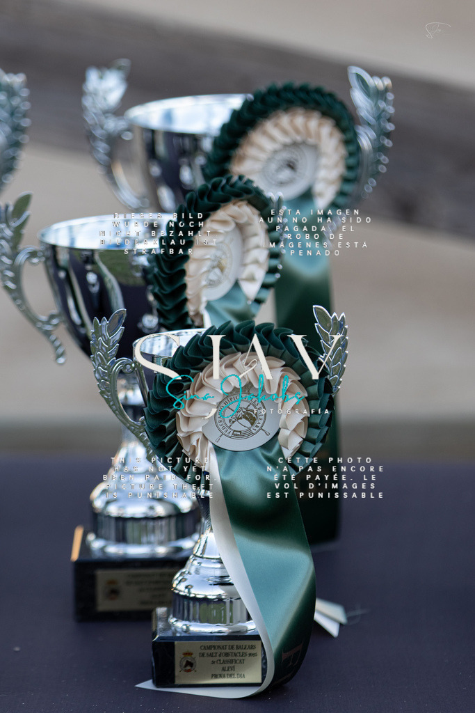 IMG_5748 | s-jay-photography - Realisiert mit Pictrs.com