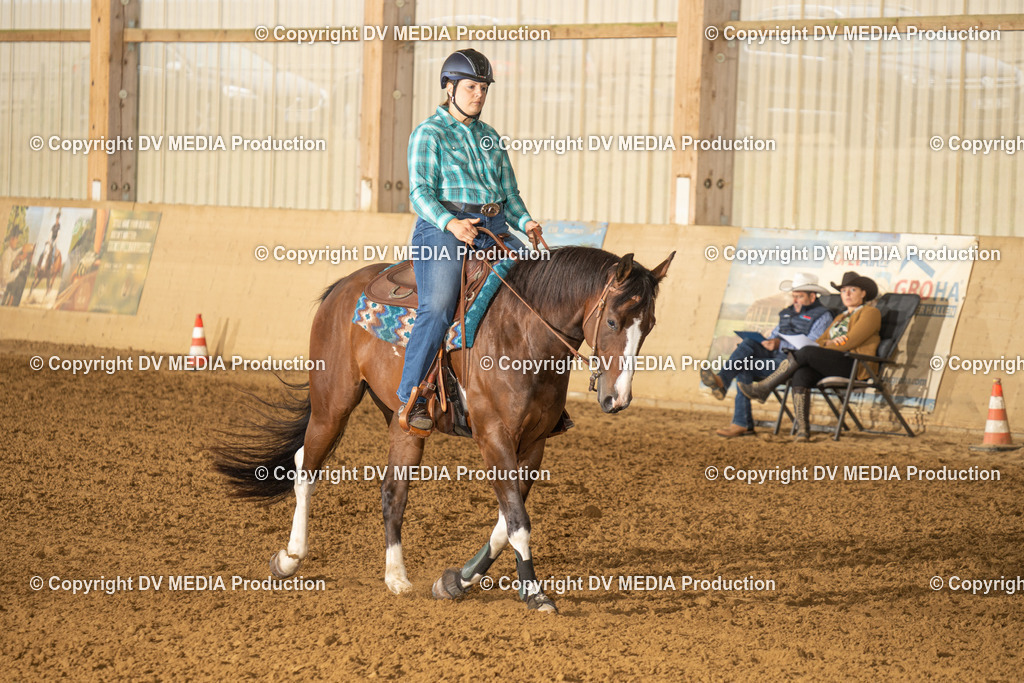 LAU00577 | dv-media-shop - Realisiert mit Pictrs.com