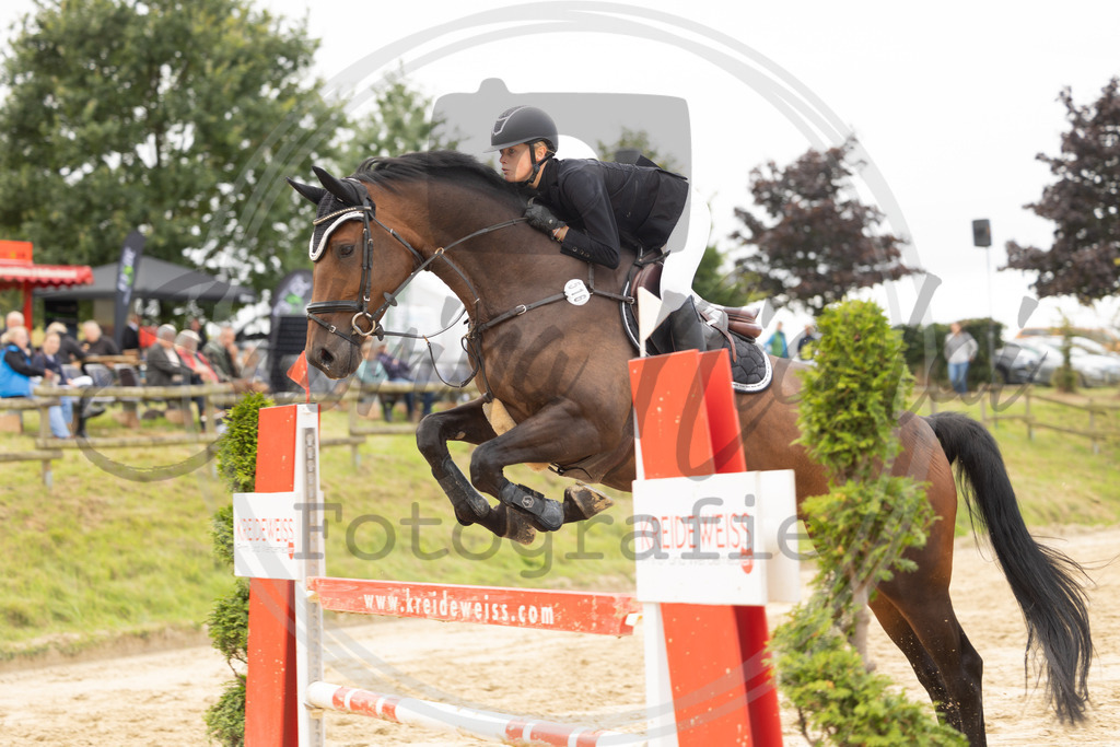 994A9022 | sabrinanicolaifotografie - Realisiert mit Pictrs.com