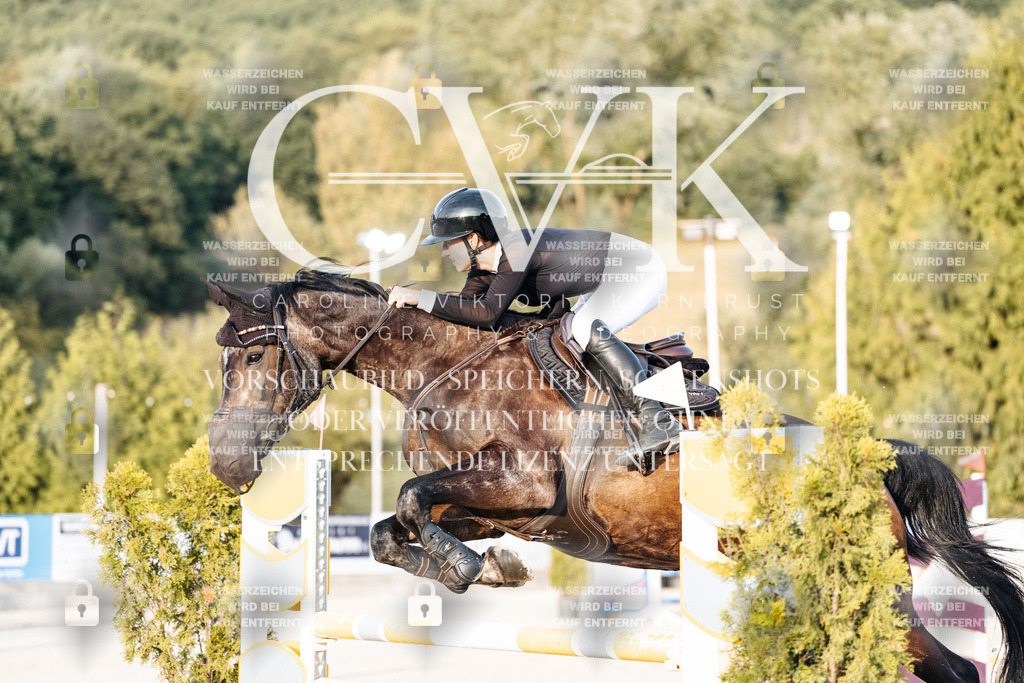 CK900930 | Turnierfotografie Pferdefotografie Trier Rheinland-Pfalz Pferdesport Reitsport Tierfotografie Sportfotografie Pferdevideo Pferdevideografie Equestrianvideography equestrianphotography  - Realisiert mit Pictrs.com
