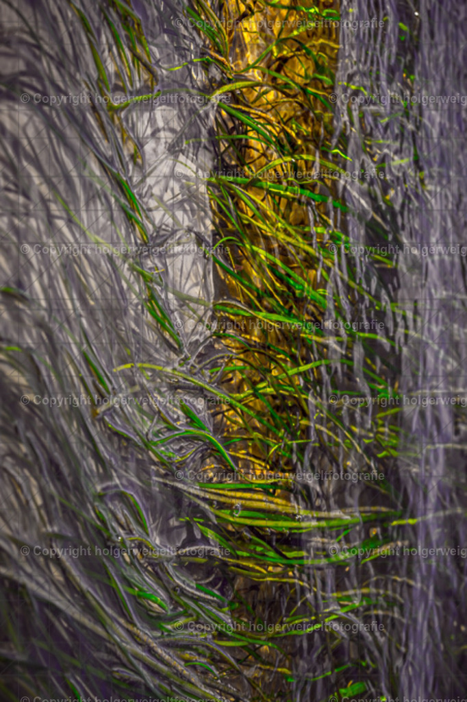 Unterwasser III | Kaufen sie online außergewöhnliche Fotografien auf Leinwand Acrylglas Fotoprint Aludibond von holgerweigeltfotografie - Realisiert mit Pictrs.com