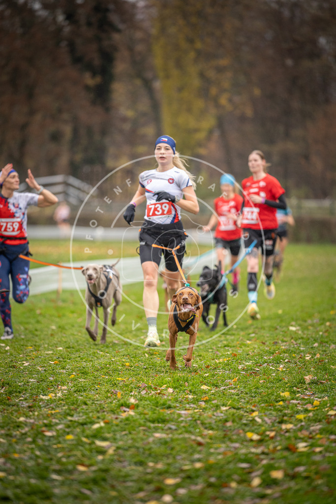 CaniXpix_DV3A9336 | Hundefotografie, Tierfotograf, Pfotenfotografie, Fotoshooting Hund, Hunde Portrait, Hundesport, Hundeportraits, Heideshooting, Hunde, Sportfotograf, Hundefotograf, Turnierhundsport, THS,  - Realisiert mit Pictrs.com